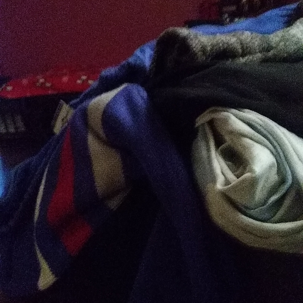 Just trying to sell some stuff the T-shirt shorts long sleeve shirts toboggans s